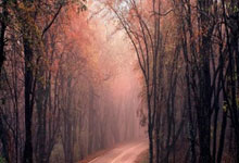 雷速体育-关于Ning新星惊险取胜表现惊艳，曼联未来可期！的信息