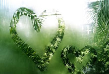 雷速体育-关于Ning新星惊险取胜表现惊艳，曼联未来可期！的信息